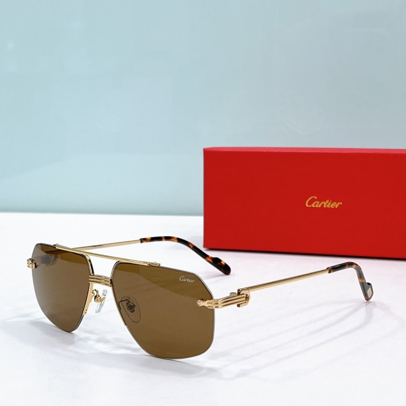 Cartier Sunglasses